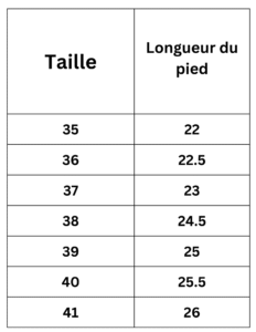 bottines d’hiver femme talon carré – style martin